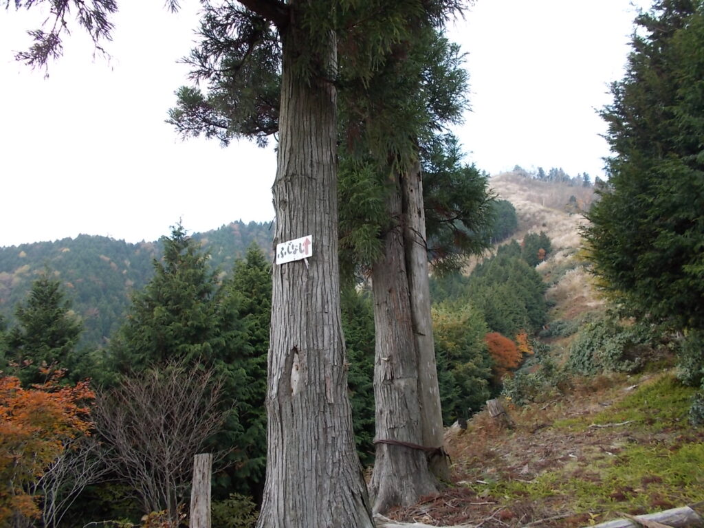 10：47　すぐに二本杉に。