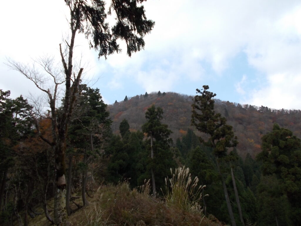 11：07　ようやく山頂が見えました。