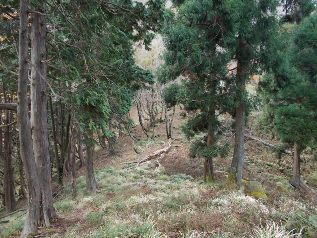 11：09　いったん下って登り返します。