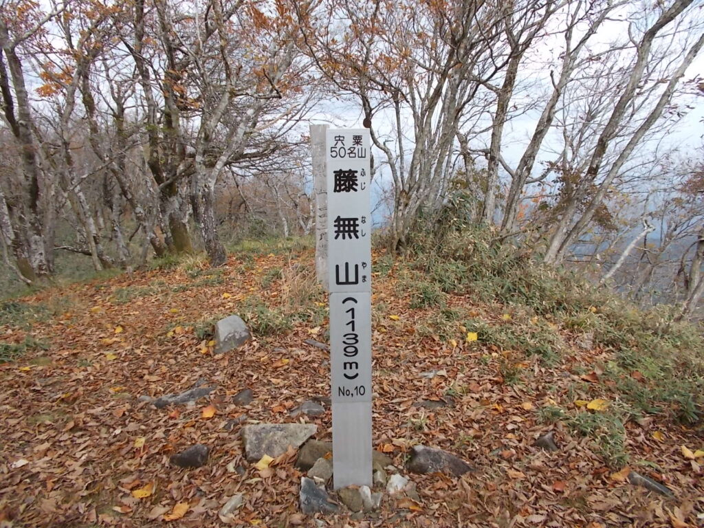 11：18　登り切ると、いきなり山頂です。