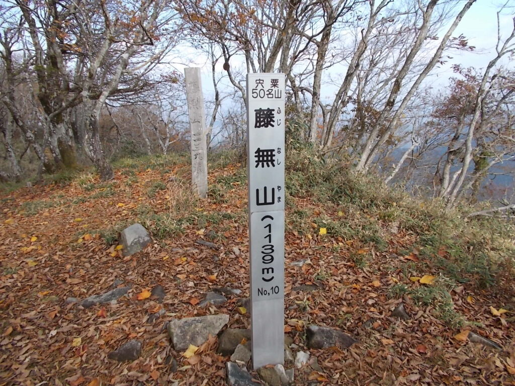 藤無山（ふじなしやま）