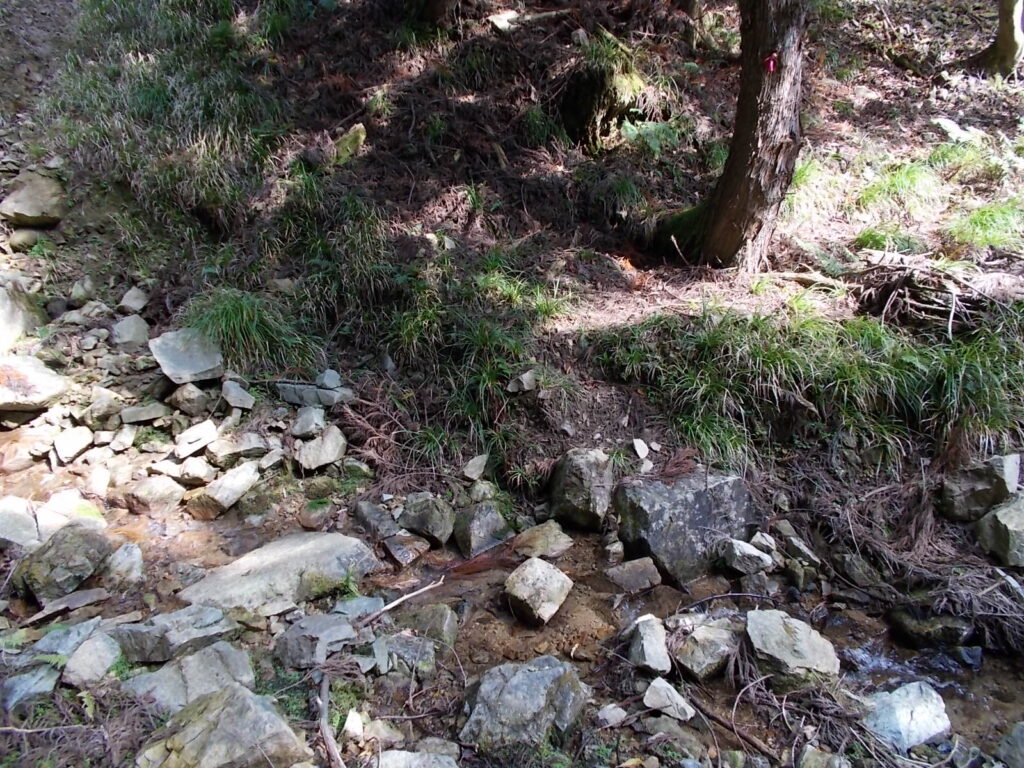 12：04　沢を渡ります。