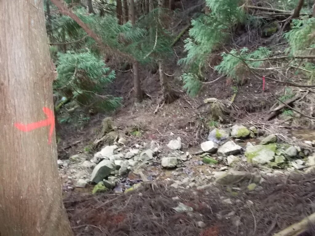 12：06　またまた沢を渡ります。