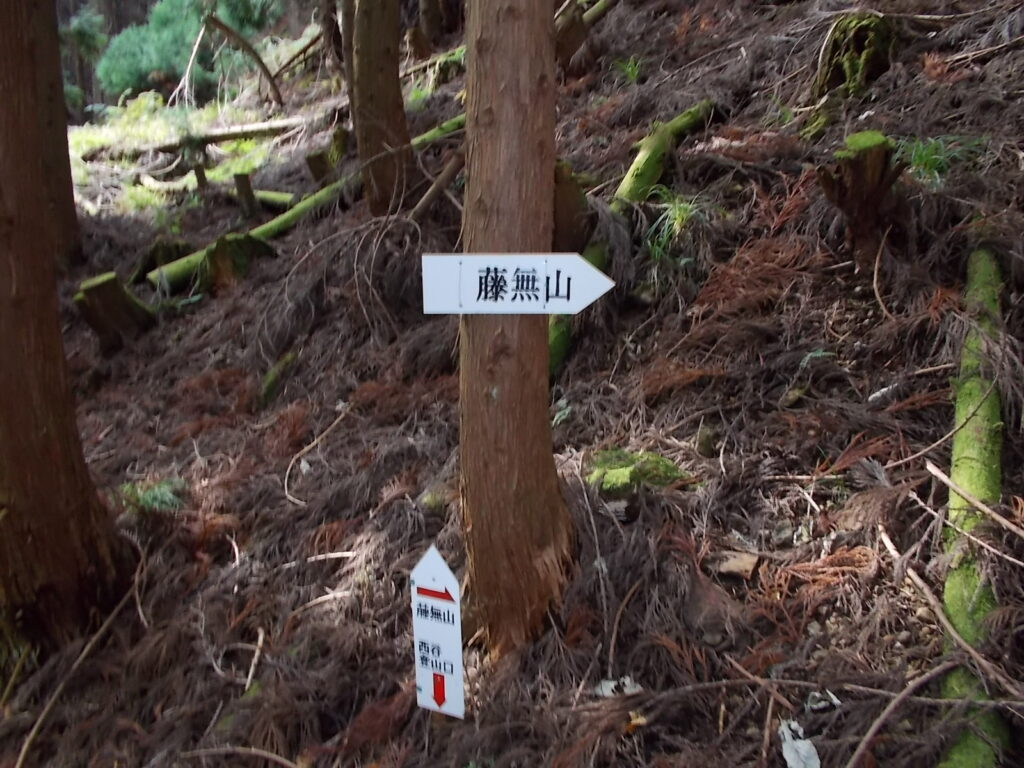 12：10　案内板です。