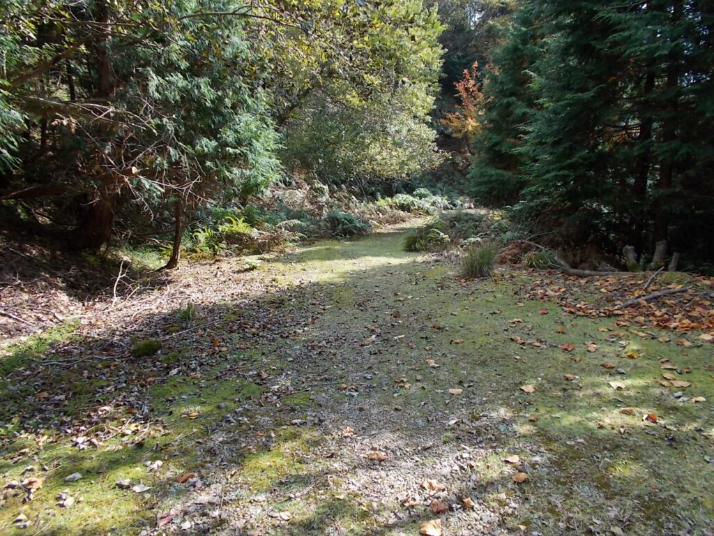 12：16　ここから林道を下りていきます。こちらの林道は荒れてなくて、歩きやすいです。