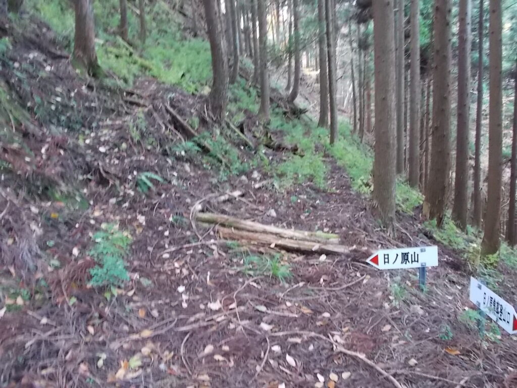 10：55　分岐点。直進するとトンネルがあるそうですが、埋まっているようなので、行きませんでした。案内もないし。