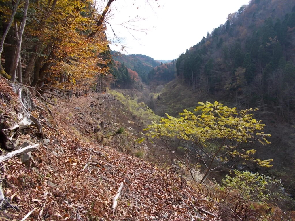 10：57　登り切ると、マンガ谷川が見える尾根へ。