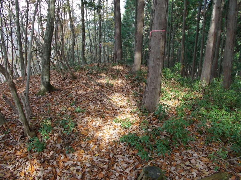 11：11　いくつめかのピーク