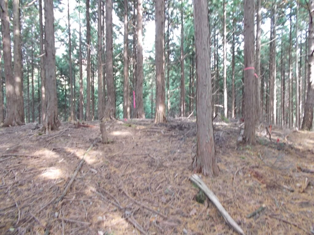 11：12　次のピーク