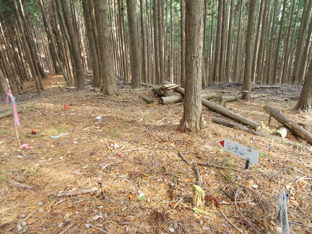 11：13　また次のピーク、ここから下ります。