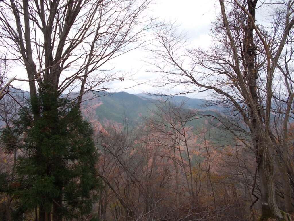 11：20　なんとかこの方向が望めます。この前行った、山九安山と藤無山のようです。