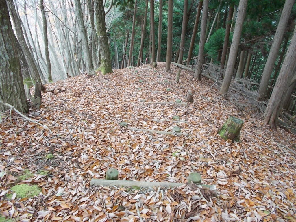 11：40　1,200段もあるという階段道を下りていきます。かなり急なところも多いです。落ち葉が邪魔でよく見えません。