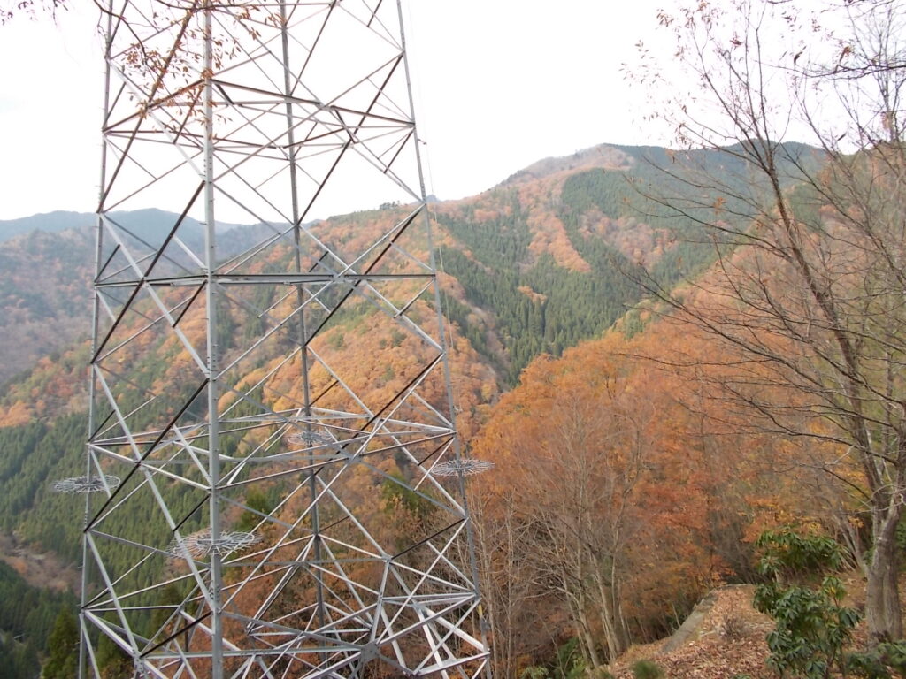11：55　すぐに鉄塔No.41が現れます。