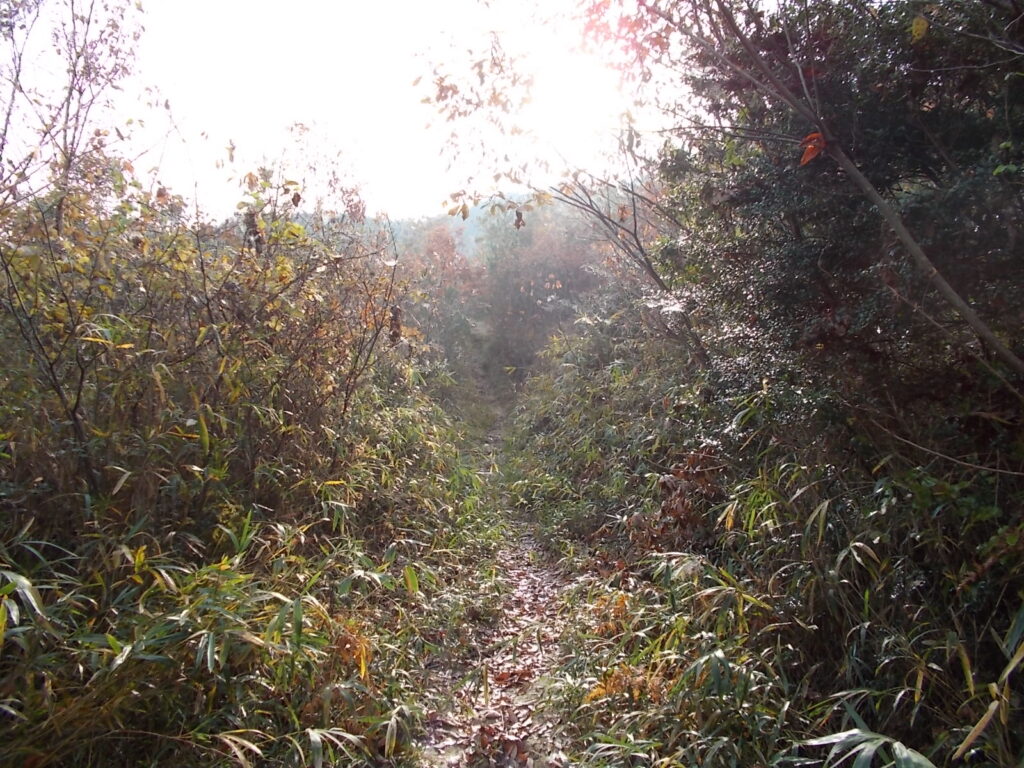 9:51 登山道の様子。最初は狭くて草が多いですが、すぐに見晴らしが良くなります。