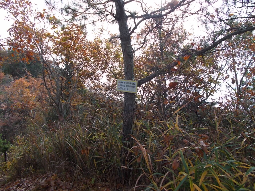 9:58 尾根の分岐に着きました。善防山はここを左へ。