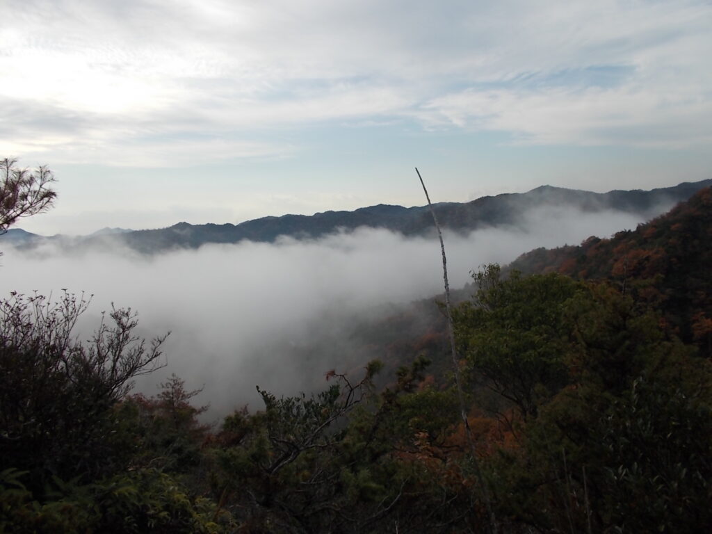 10:00 途中の見晴らしの良いところから見えた雲海です。