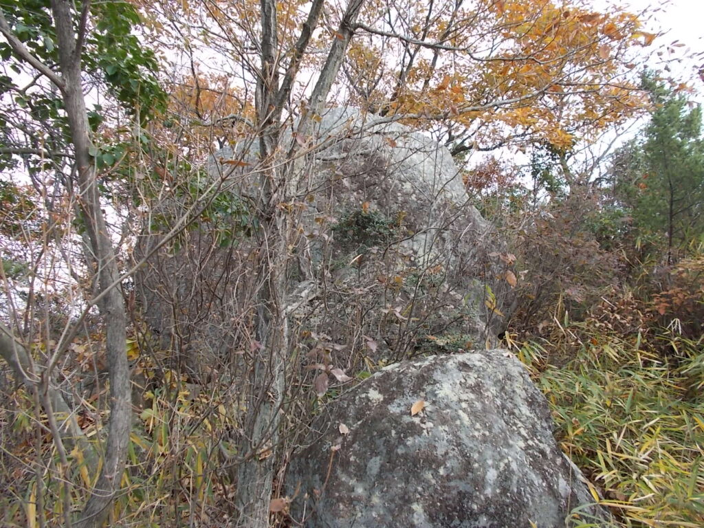 10:06 大きな岩が現れました。