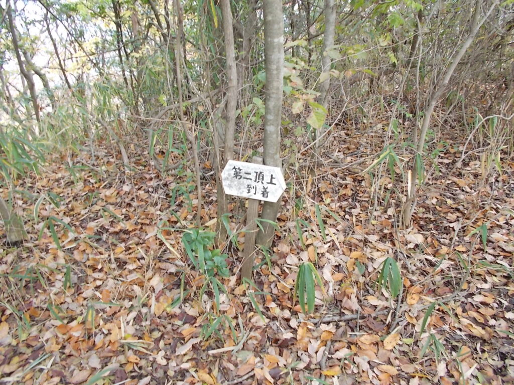 10:11 さらに進んで、2つ目のピークが第に頂上です。何もないので、すぐに戻ります。