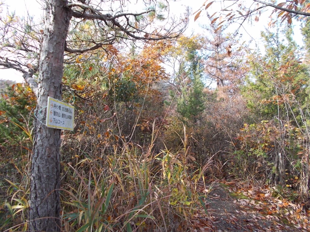 10:24 尾根分岐に戻りました。右へ行くと登山口。今度はまっすぐ進みます。