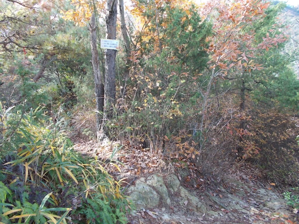 10:25 すぐに吊り橋と周回ルートの分に出ます。右へ下りて、吊り橋を目指します。