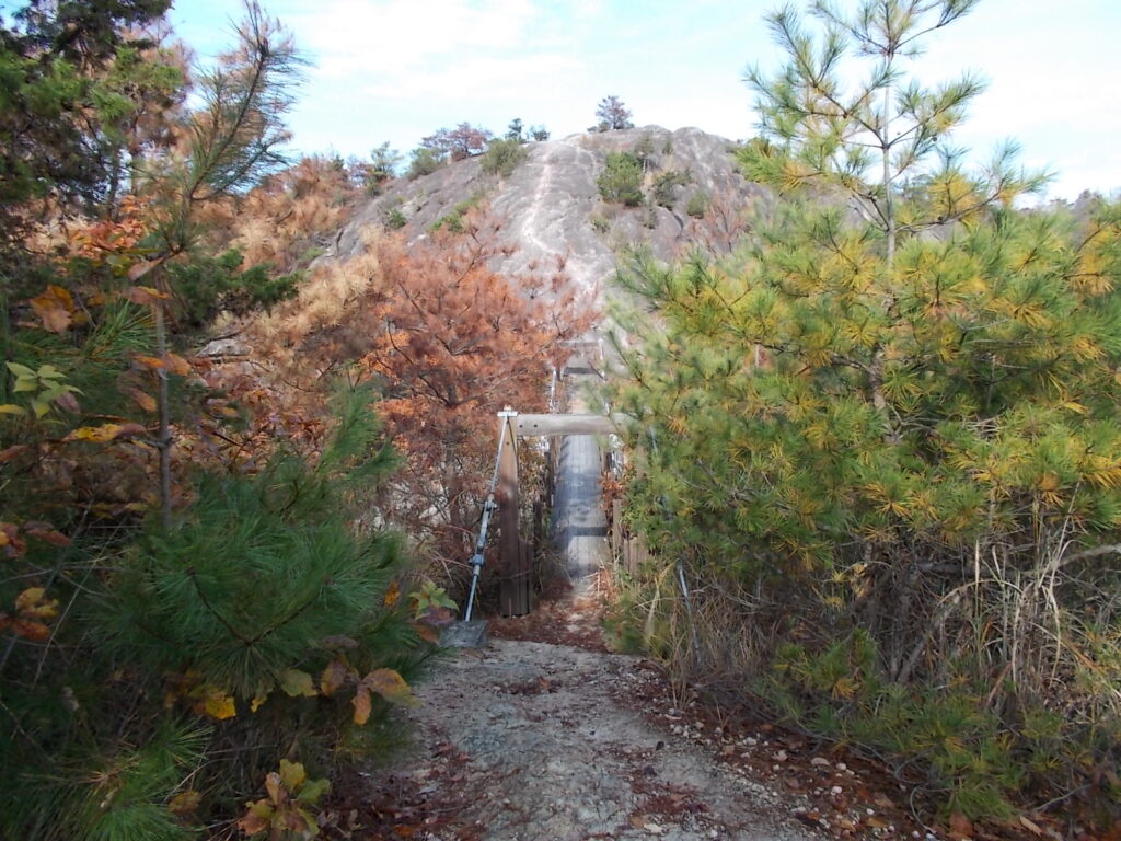 10:29 吊り橋が見えてきました。