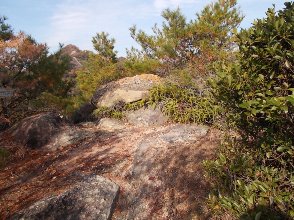 10:34 途中のピークです。