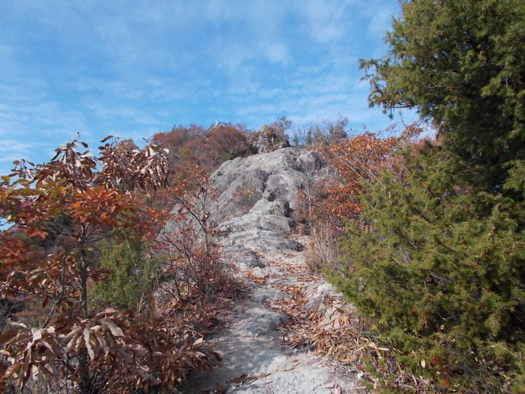 10:47 最後の急斜面。短いですがけっこう厳しいです。