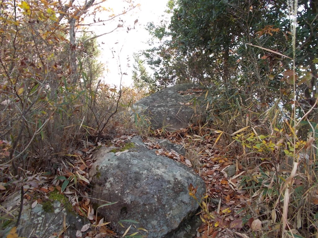 11:31 途中のピーク