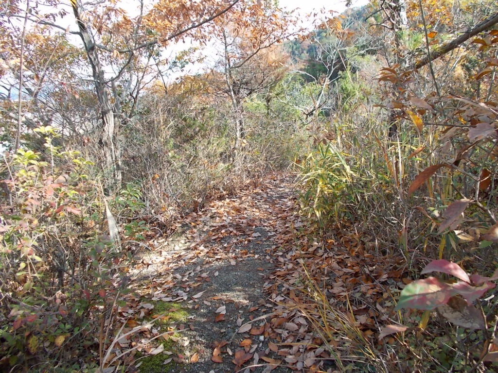 11:42 尾根分岐。ここから左へ下りて駐車場へ。