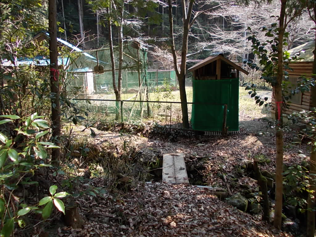 10:33 裏へ抜けて、登山道へと向かいます。