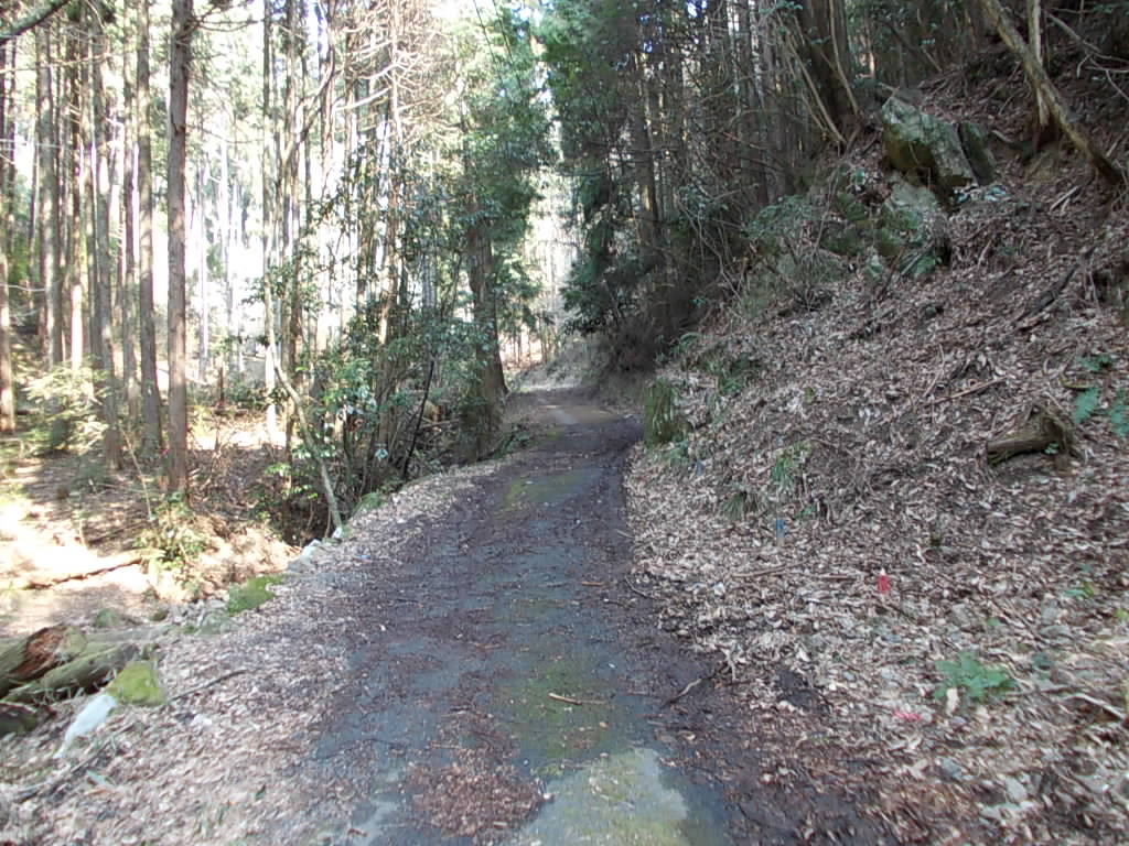 10:34 登山道に合流