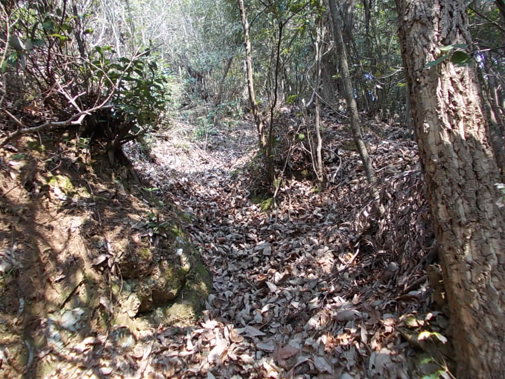 10:37 すぐに尾根筋に出ます。