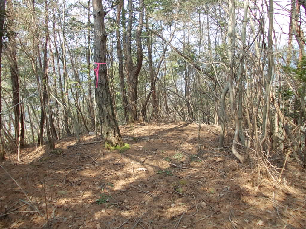 10:56 最初のピークに出ました。