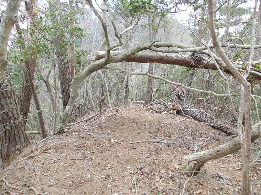 11:11 次のピークです。結構上り下りがあって、いくつかピークが現れます。