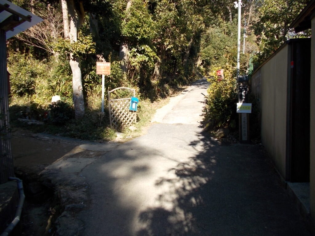 11:04 まっすぐかと思いきやここも左です。