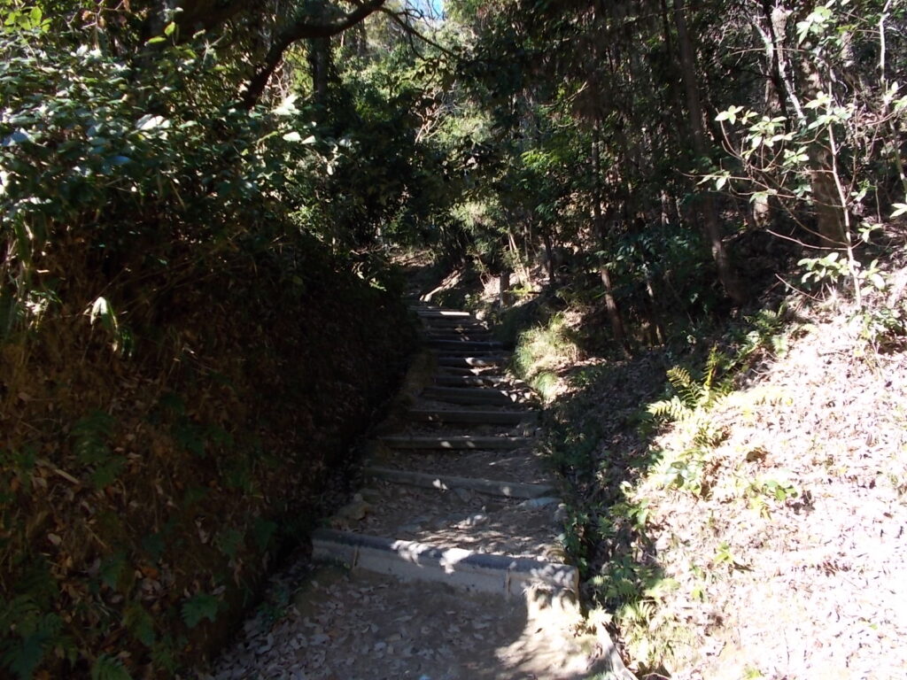 11:04 参道の様子です。
