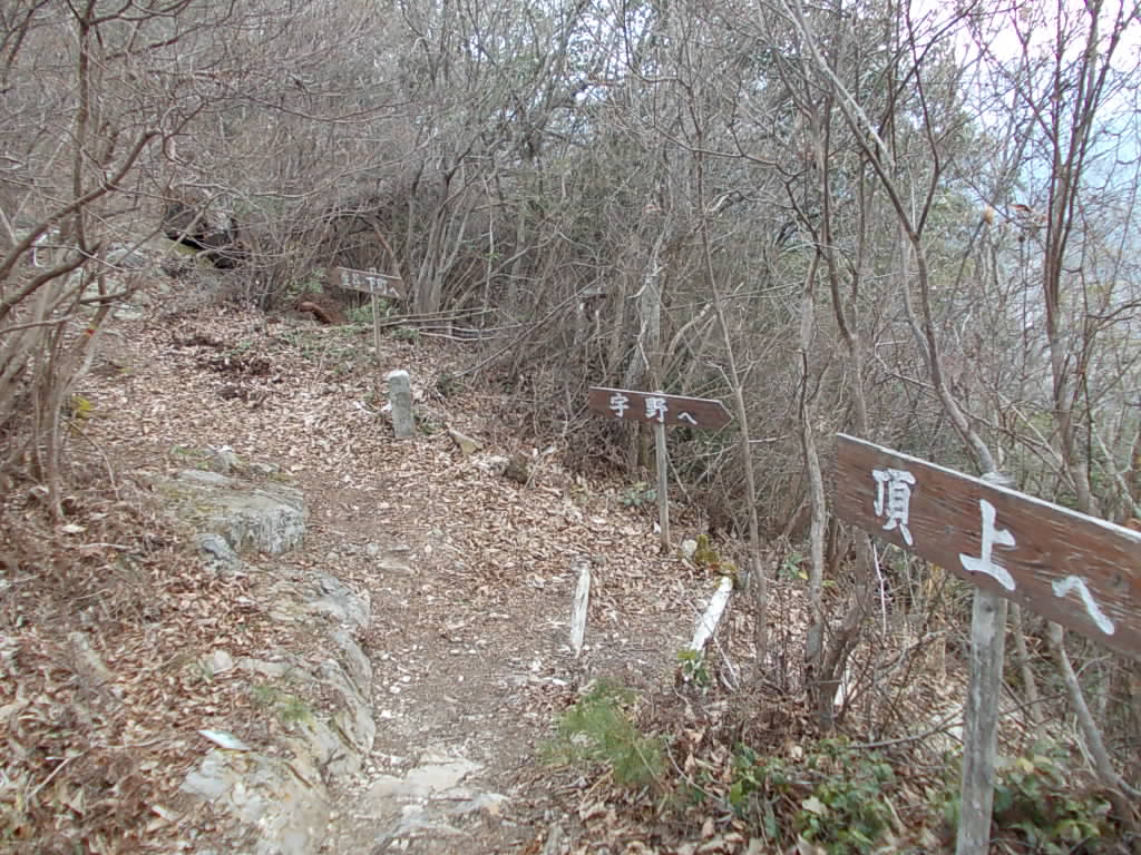 11:46 東尾根分岐です。