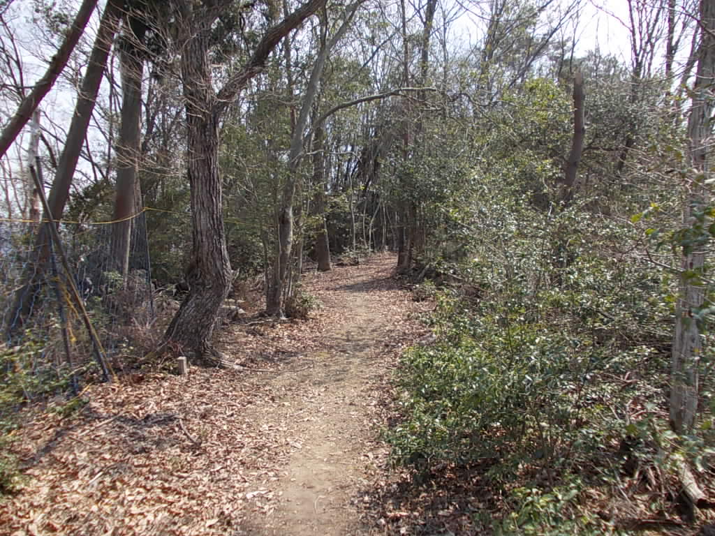 12:04 登山道の様子。緩やかな歩きやすい道です。