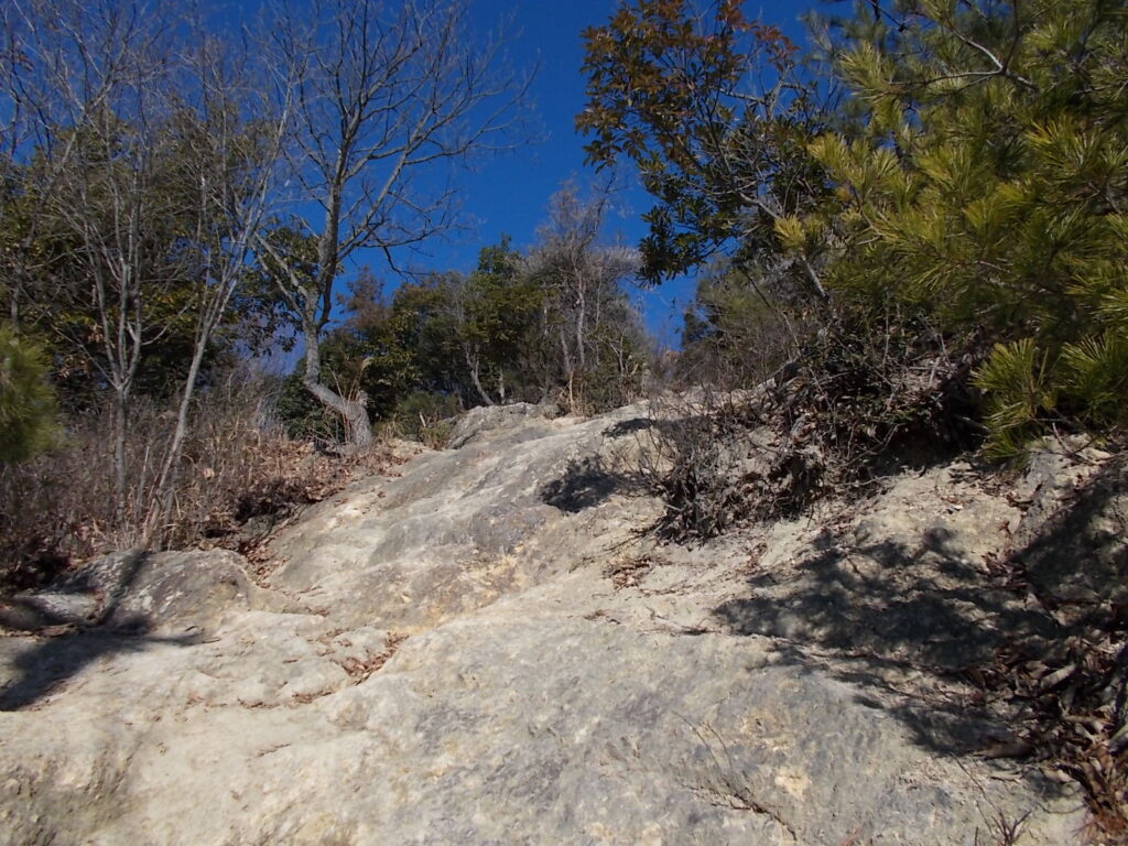 11:10 こちらが岩登りコースの様子。けっこう急です。