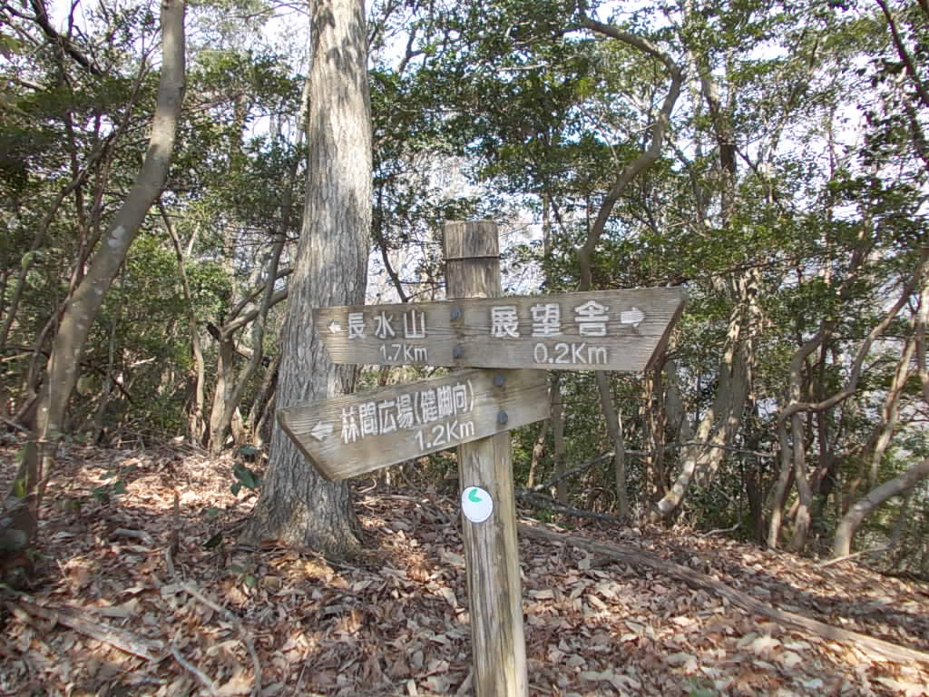 12:08 林間広場への分岐です。こちらは健脚コース。展望舎に向かいます。