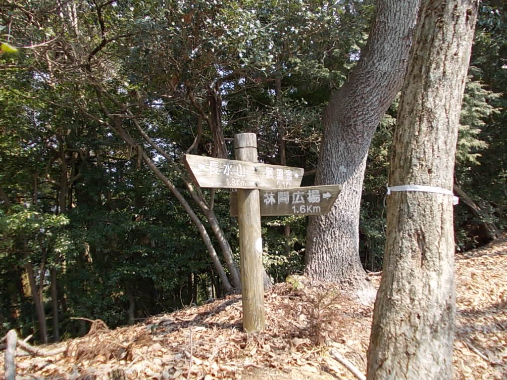 12:10 またまた林間広場への分岐です。