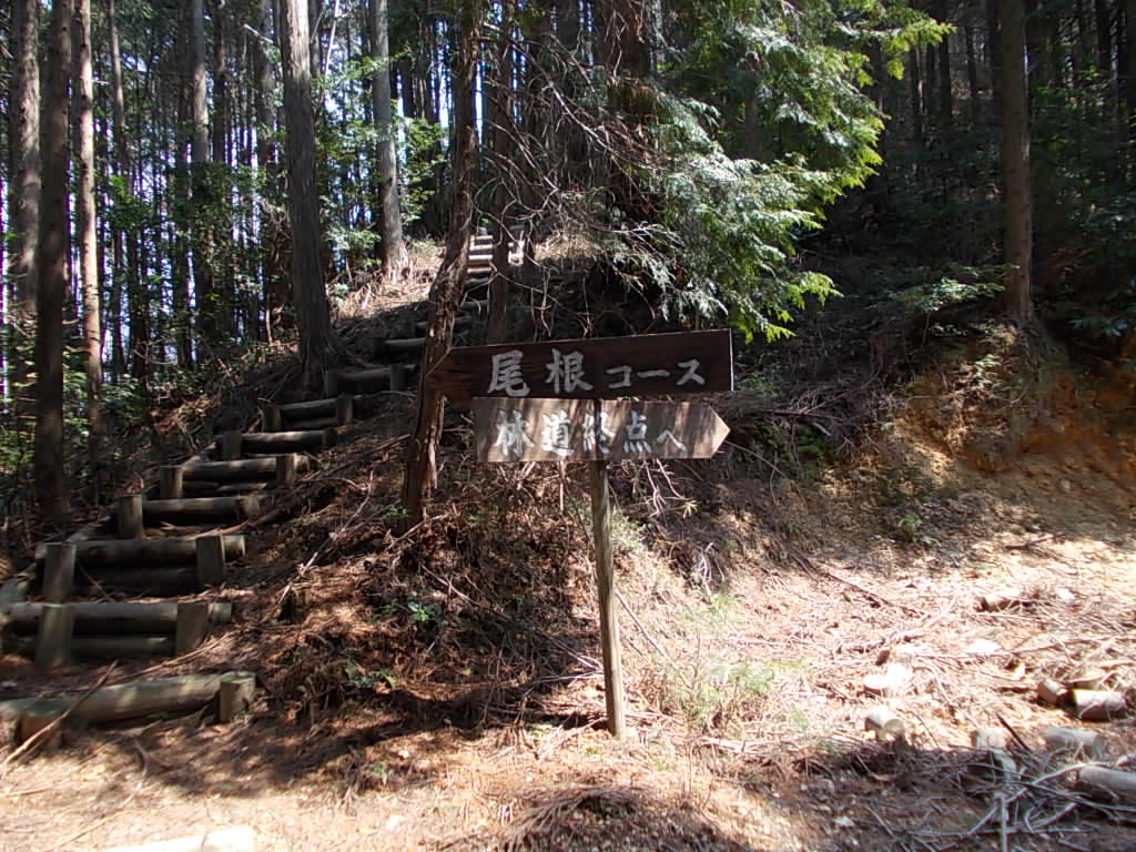 12:16 尾根コースと林道終点への分岐案内。どちらを行っても同じ所に出ます。