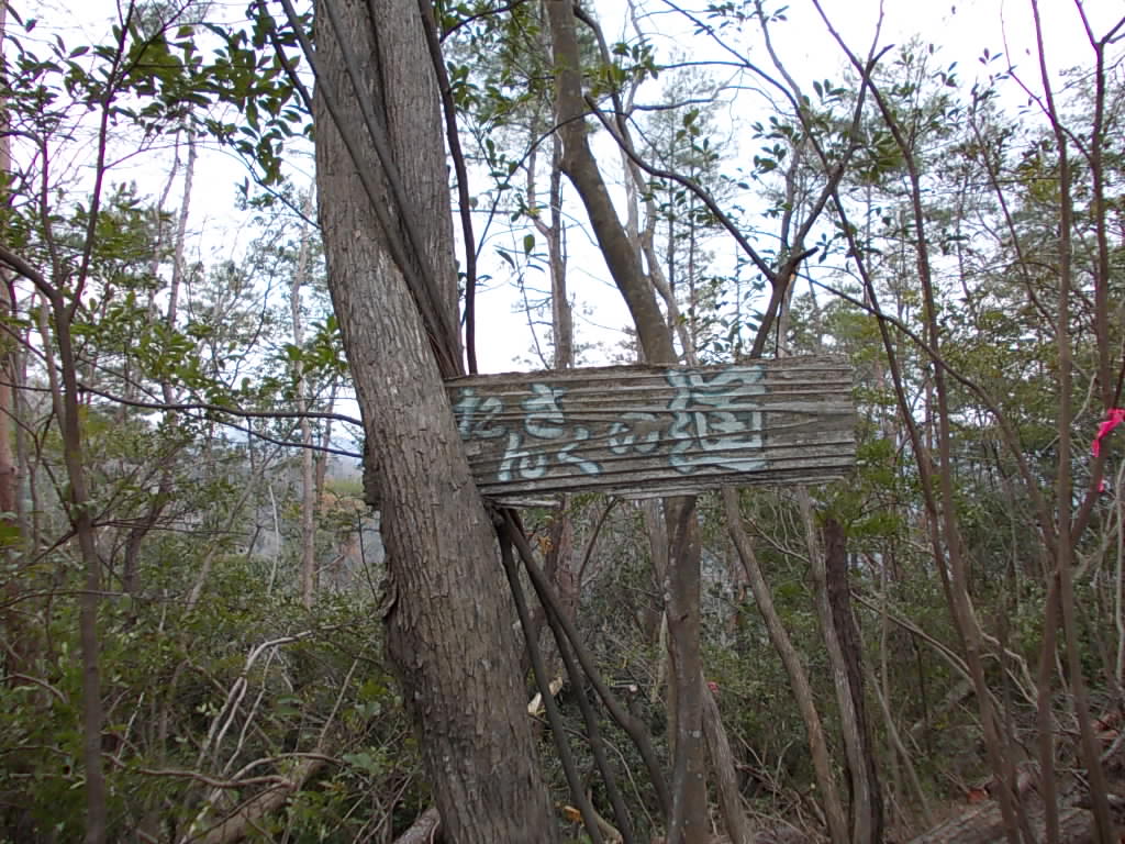 12:28 たんさくの道の案内板です。