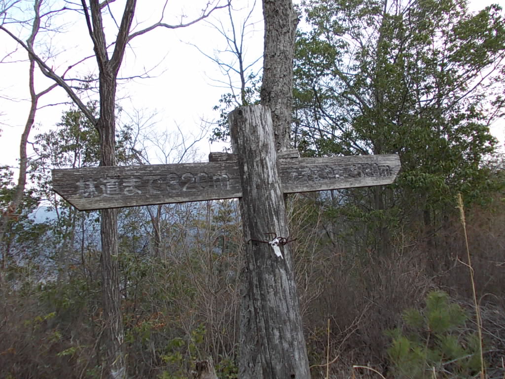 12:41 あずまやへの案内板です。