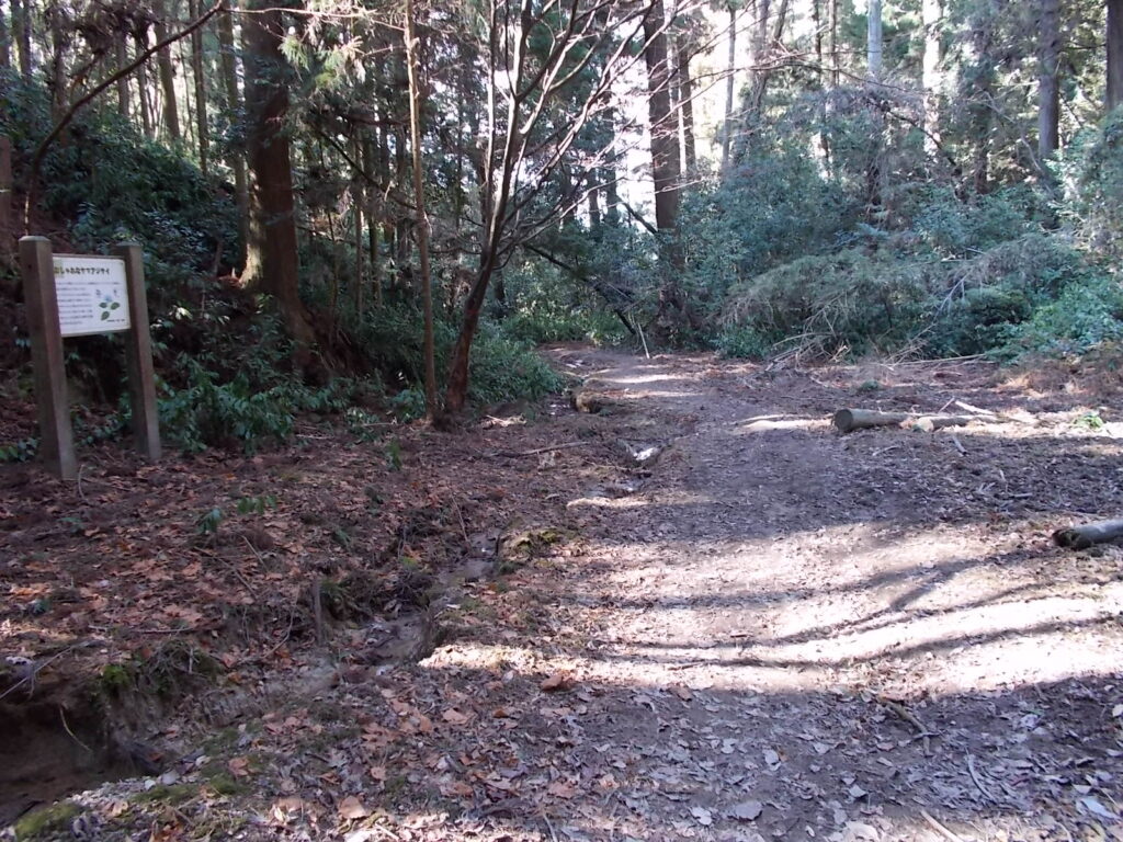 12:19 こちらの参道は沢沿いの静かな道です。