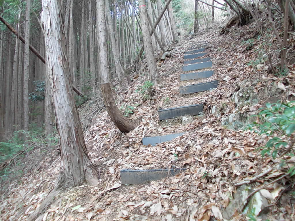 10:21 プラ階段の道になりました。