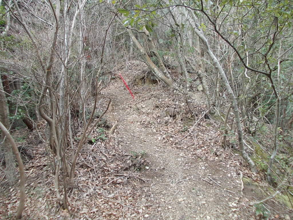 10:22 尾根道に変わります。