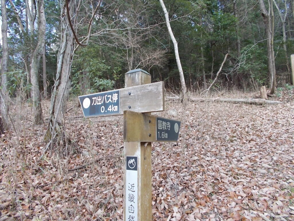 12:49 参道を出て、バス停の方へ。あとはひたすら舗装路を歩き続けるだけです。