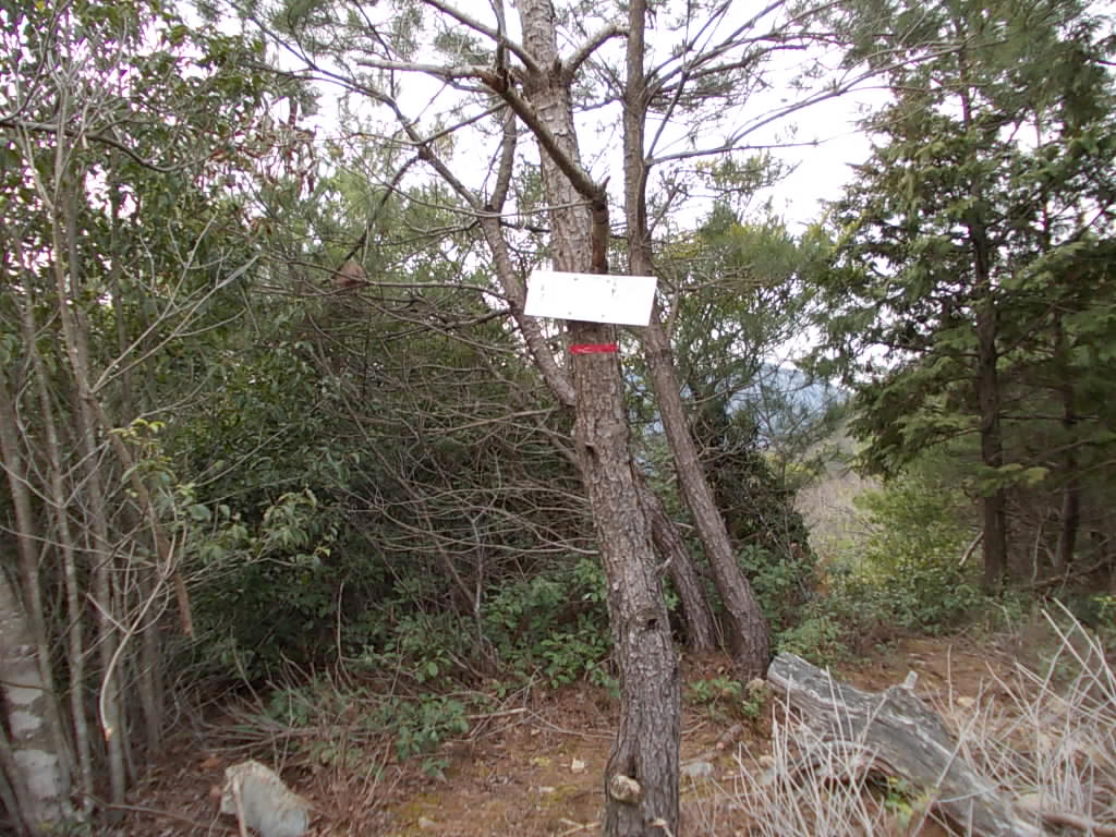 10:29 案内板ですが、文字が消えて読めません。