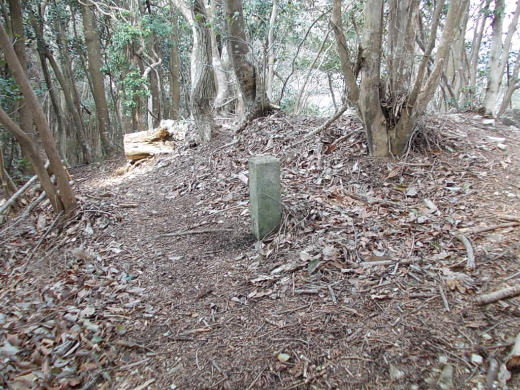 10:53 459mのピークの三角点です。